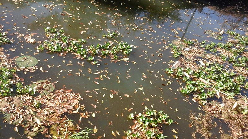 LE RAME DENONCE L’OPACITÉ AUTOUR DE L’NTOXICATION DU CANAL DE TANGHIN